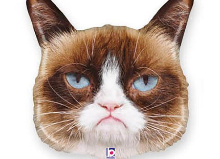 ABC Shape Grumpy Cat