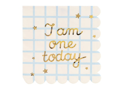 Servietten I am one today 33x33cm/12St.